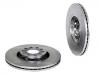 Bremsscheibe Brake Disc:8D0 615 301 J