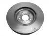 Brake Disc:13521006